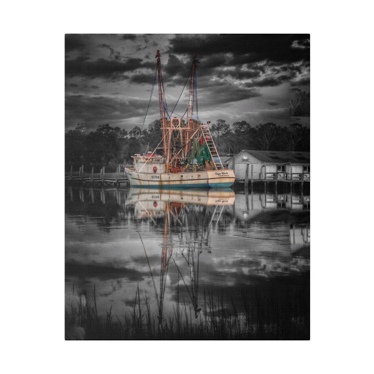 Shayna Michele Canvas Print