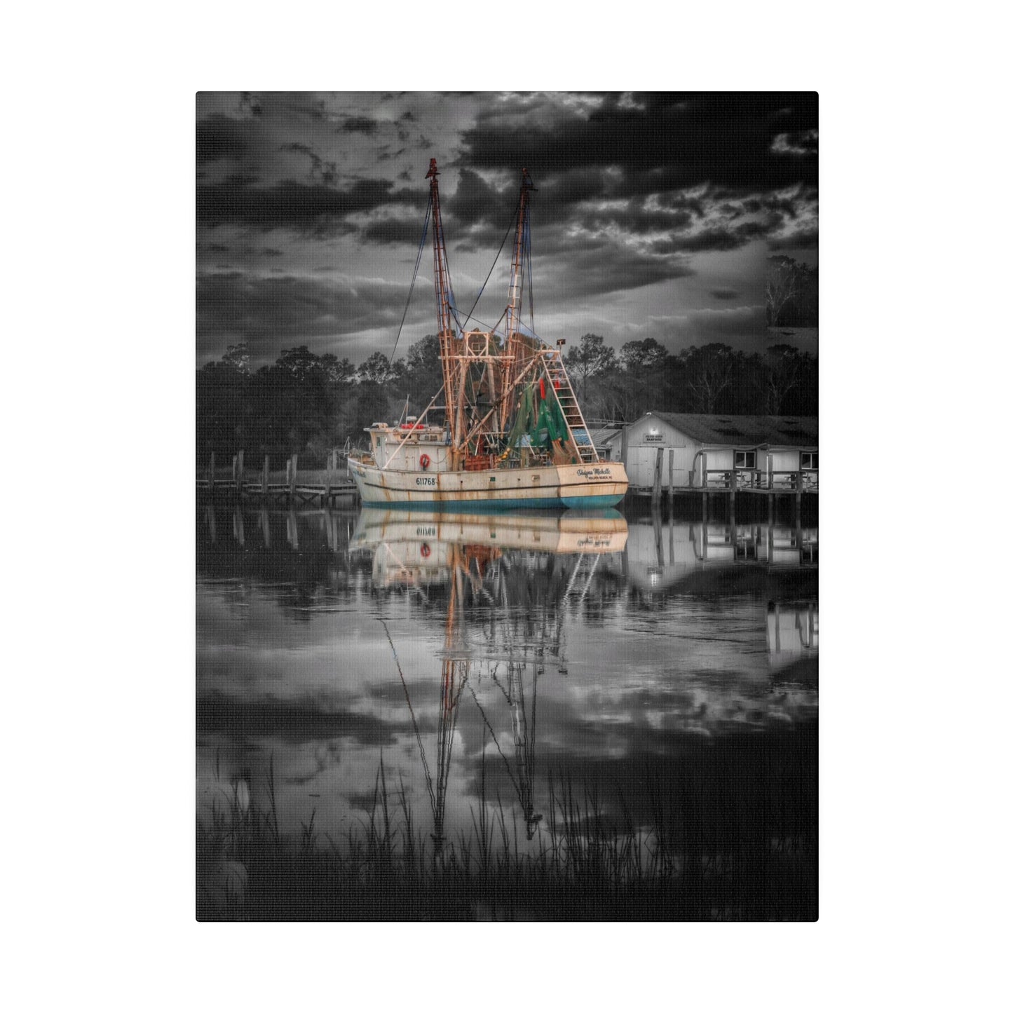 Shayna Michele Canvas Print