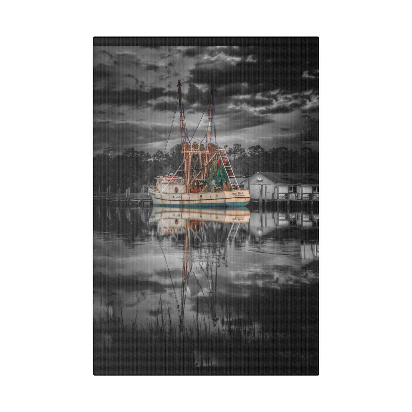 Shayna Michele Canvas Print