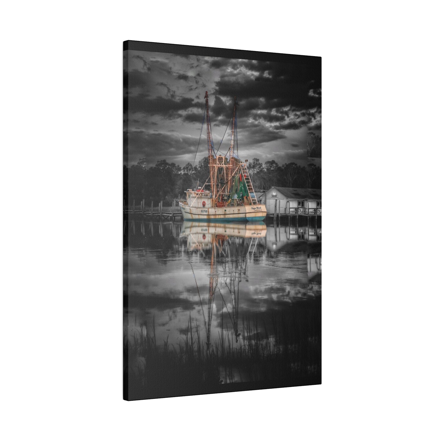 Shayna Michele Canvas Print