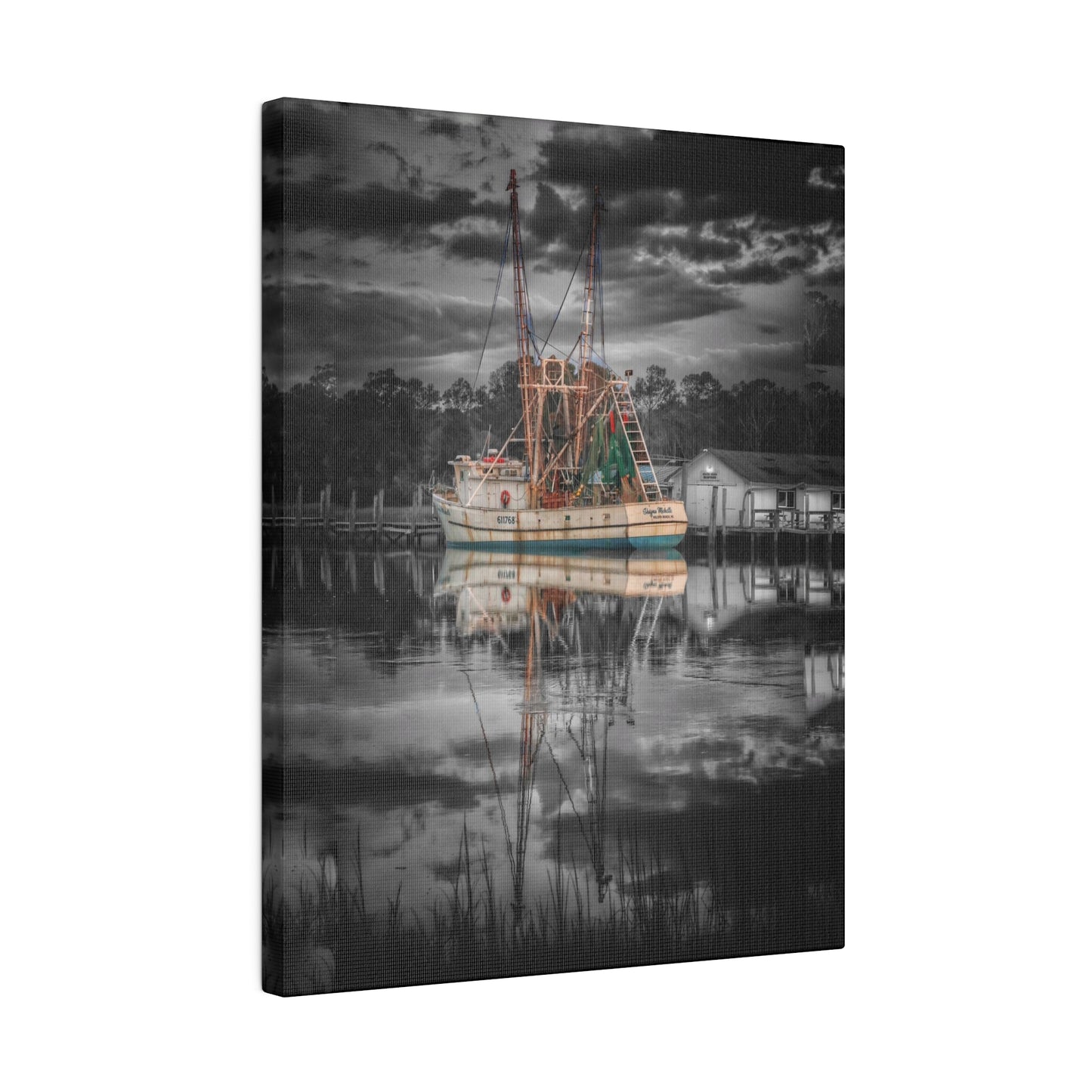 Shayna Michele Canvas Print