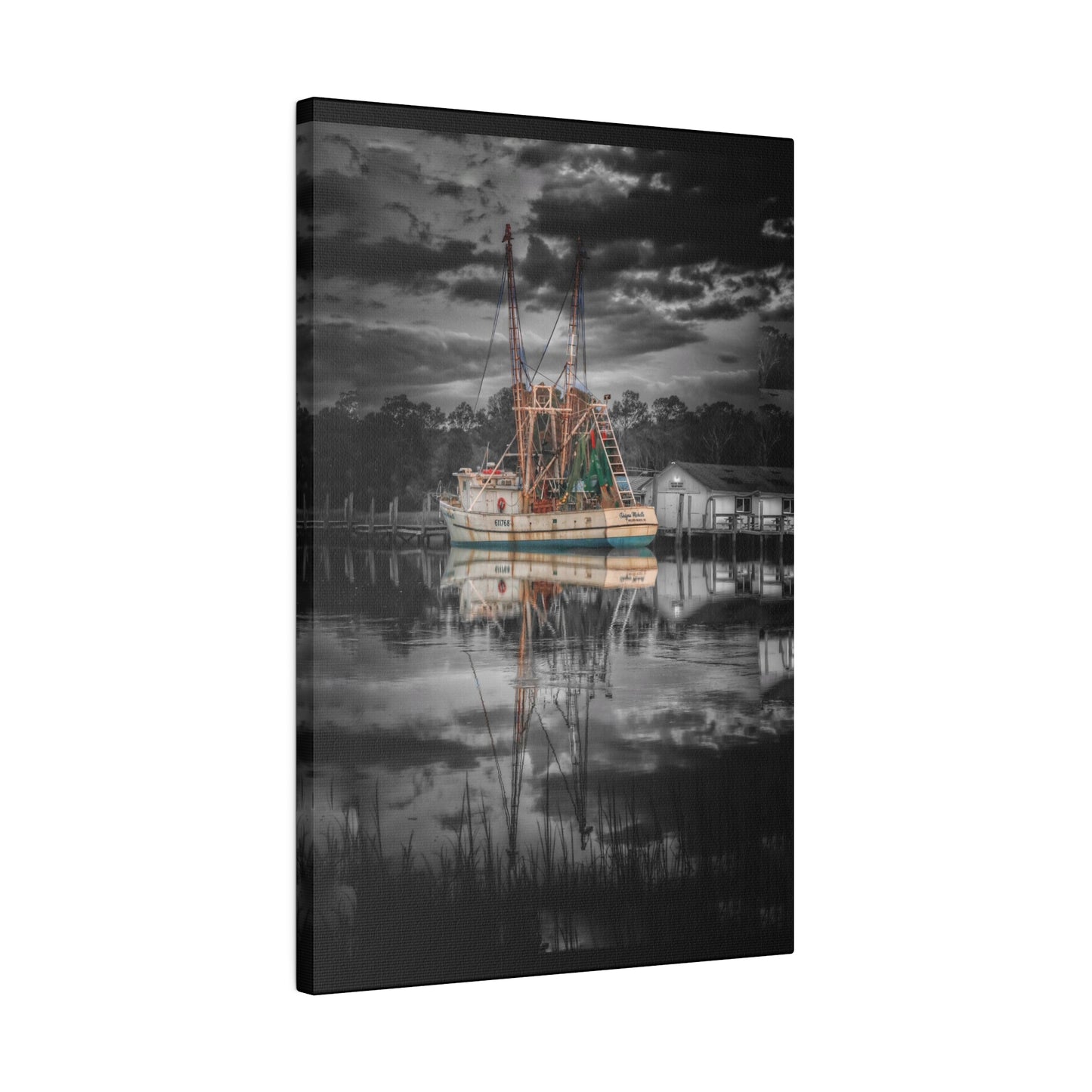 Shayna Michele Canvas Print