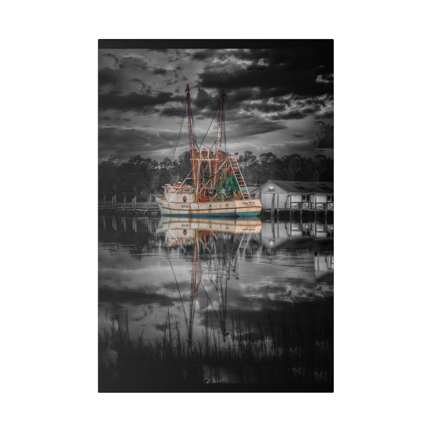 Shayna Michele Canvas Print