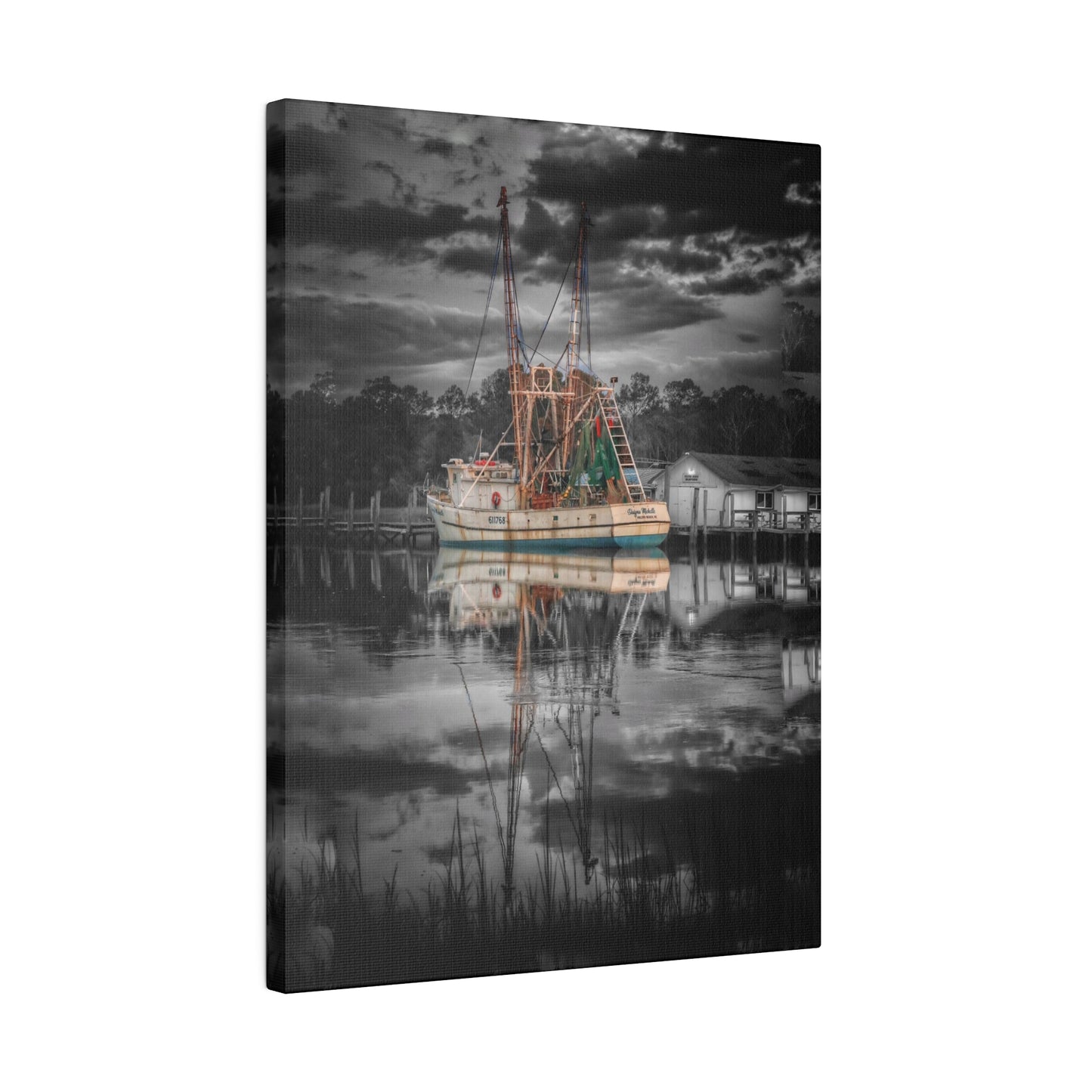 Shayna Michele Canvas Print