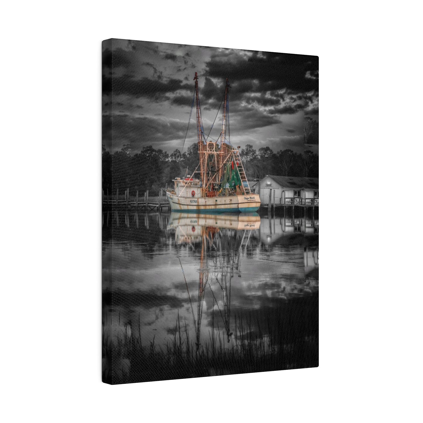 Shayna Michele Canvas Print