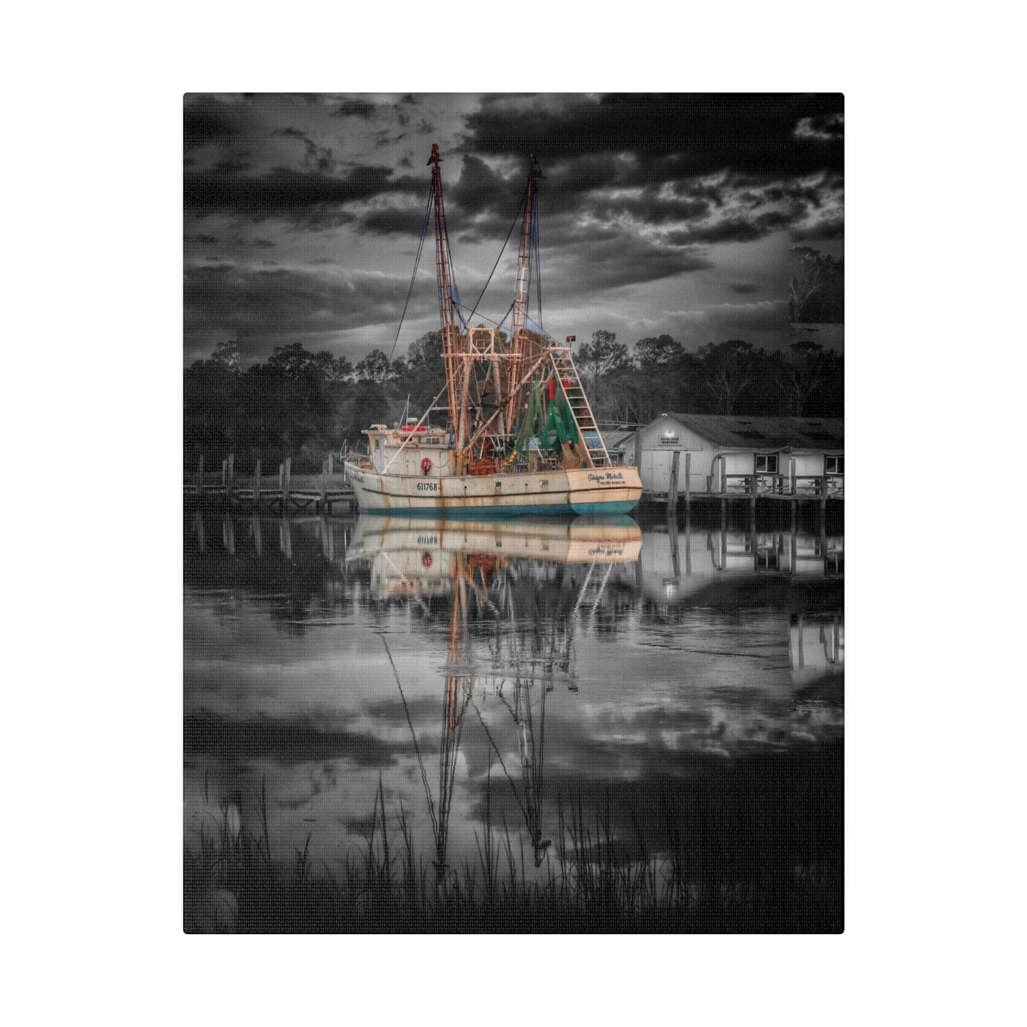 Shayna Michele Canvas Print