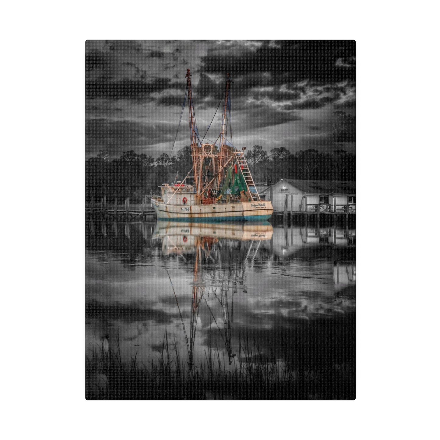 Shayna Michele Canvas Print