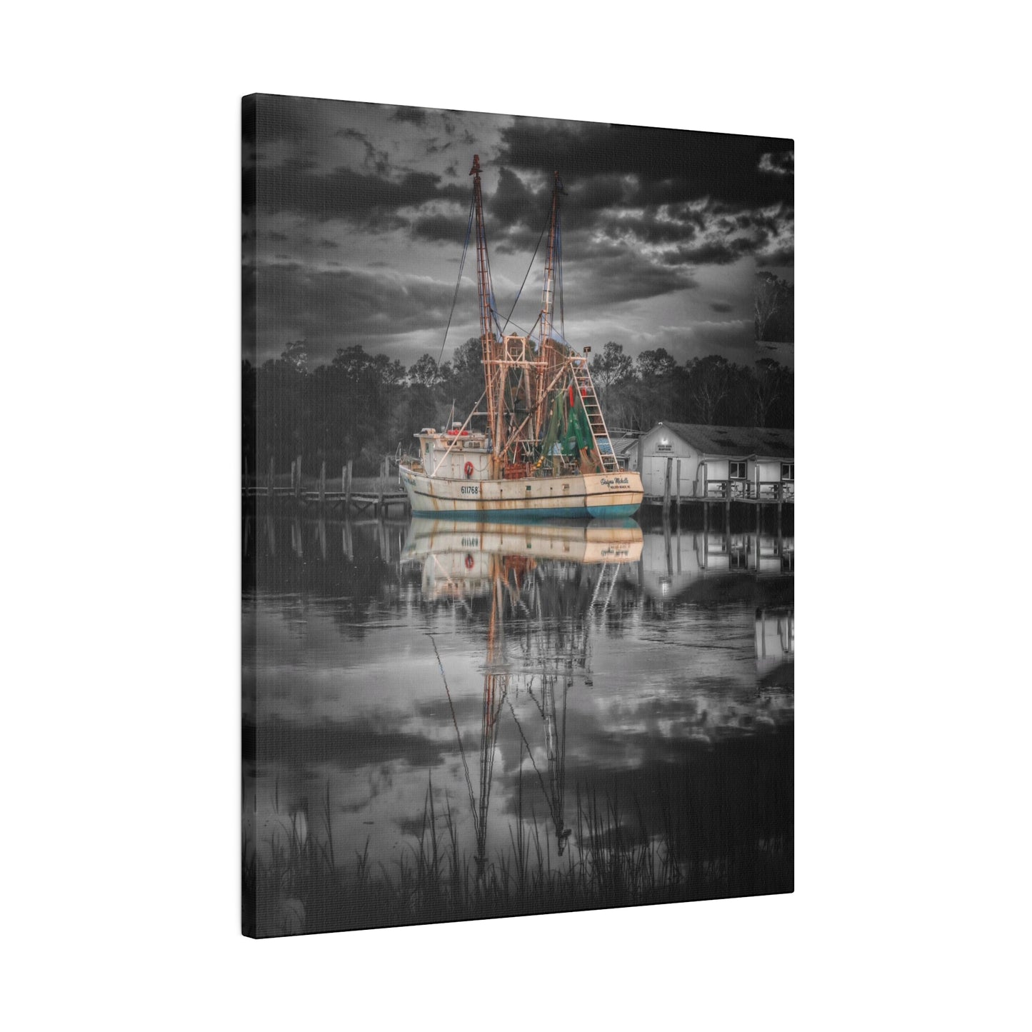 Shayna Michele Canvas Print