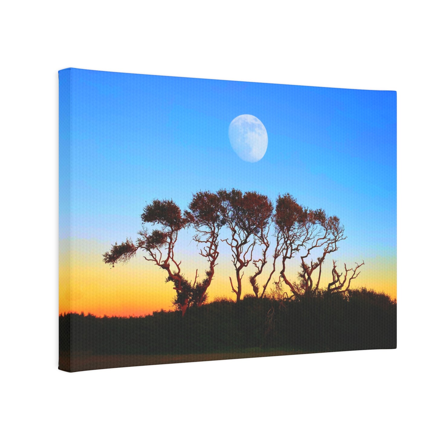Sunset Moon Canvas Photo Tile