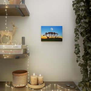 Sunset Moon Canvas Photo Tile